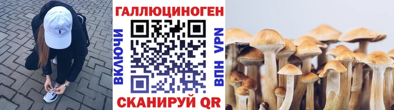Псилоцибиновые грибы Cubensis  Камешково 